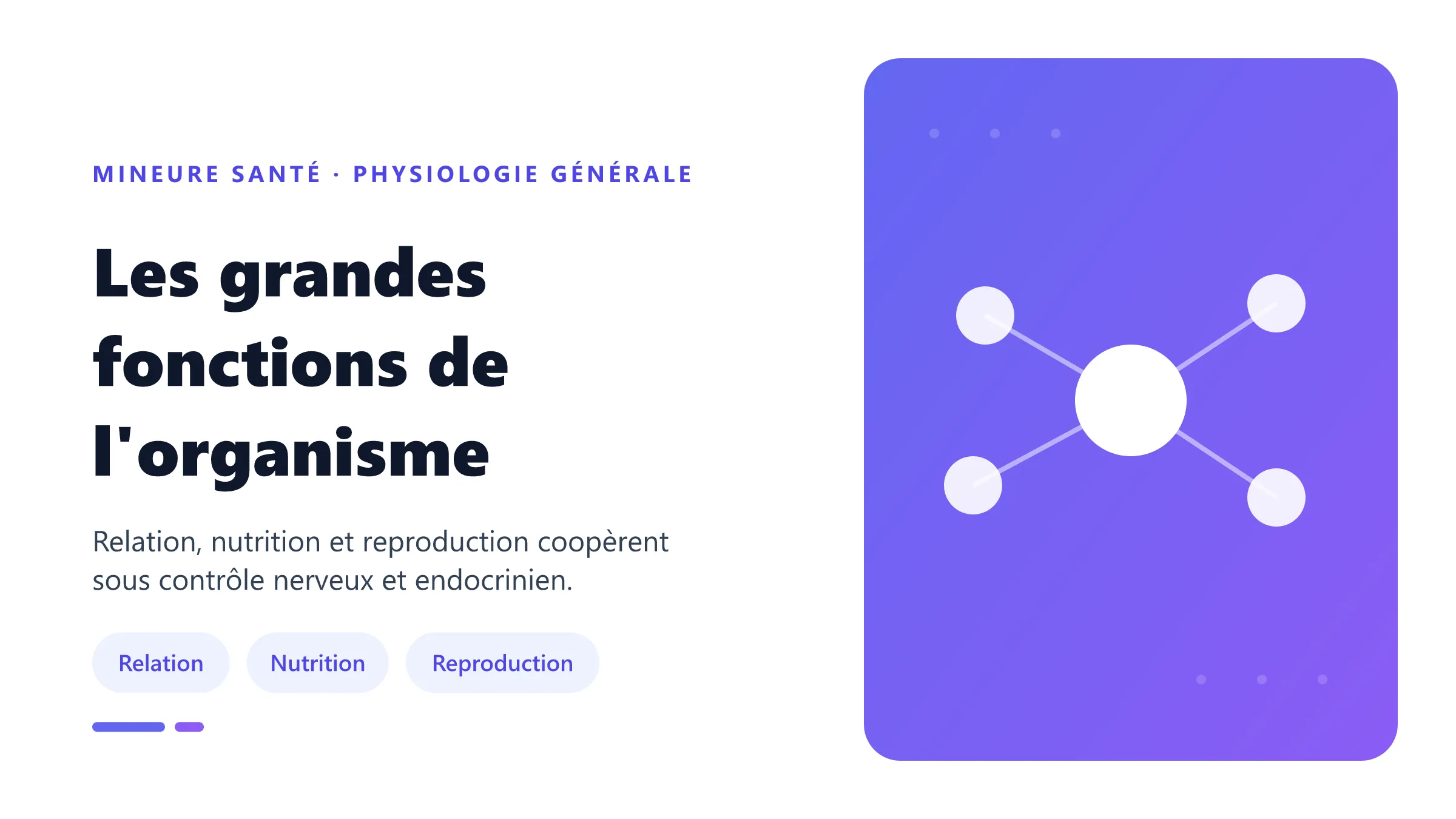 Les grandes fonctions de l'organisme Vue d'ensemble des fonctions de relation, de nutrition et de reproduction de l'organisme humain.