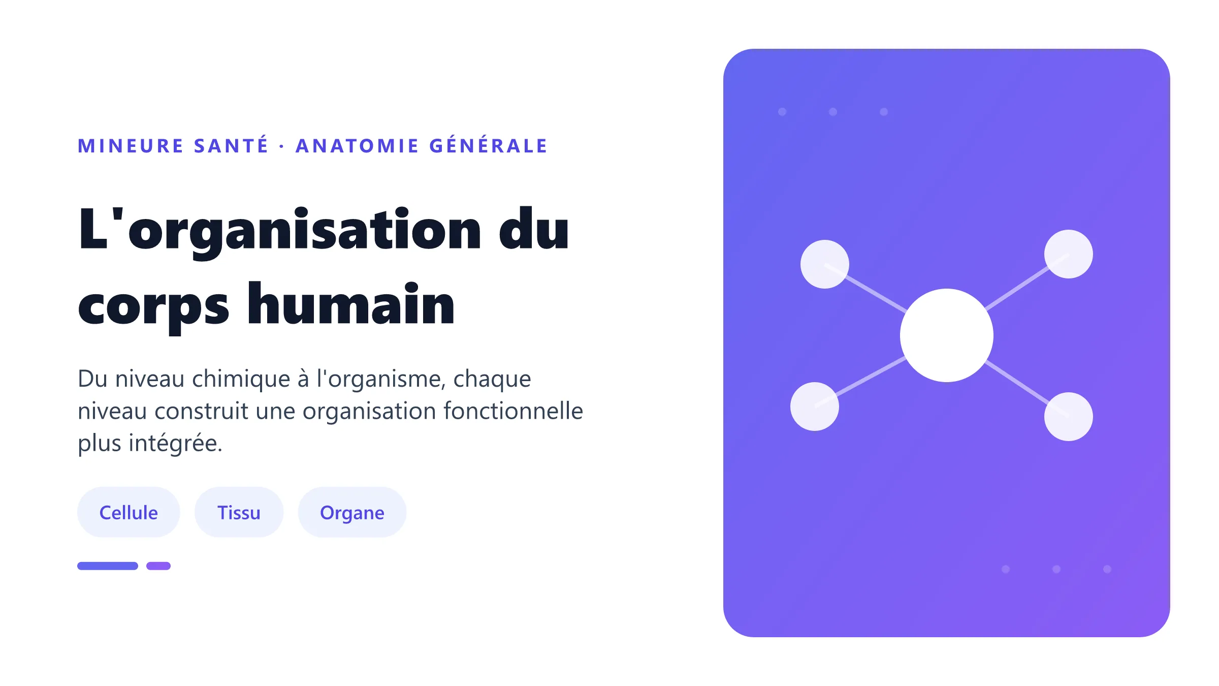 L'organisation du corps humain Hiérarchie des niveaux d'organisation du corps humain, de la matière chimique à l'organisme.