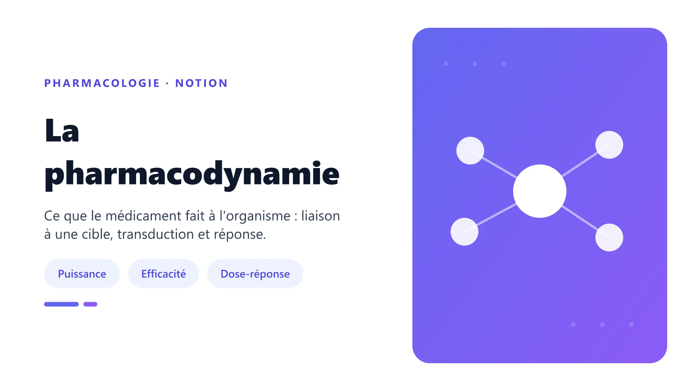 Relation pharmacodynamique entre concentration au site d'action, interaction avec la cible et effet.