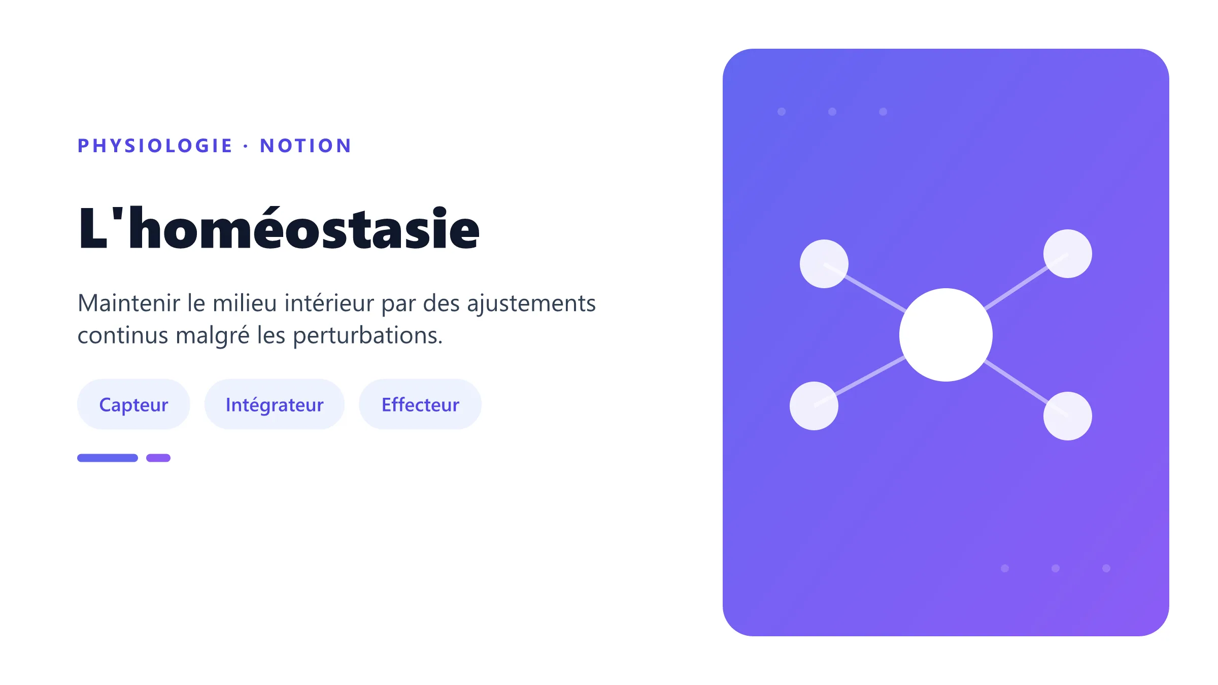 L'homéostasie Boucle de régulation homéostatique.