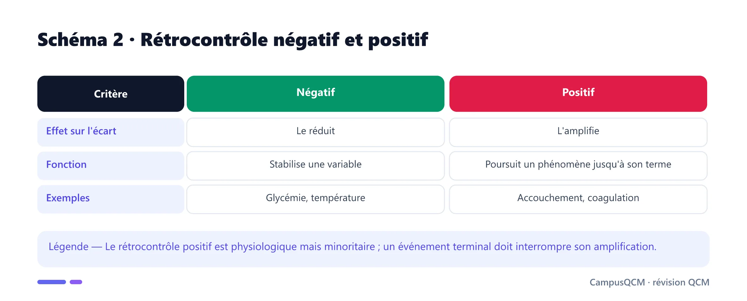 Comparaison des rétrocontrôles physiologiques négatif et positif.
