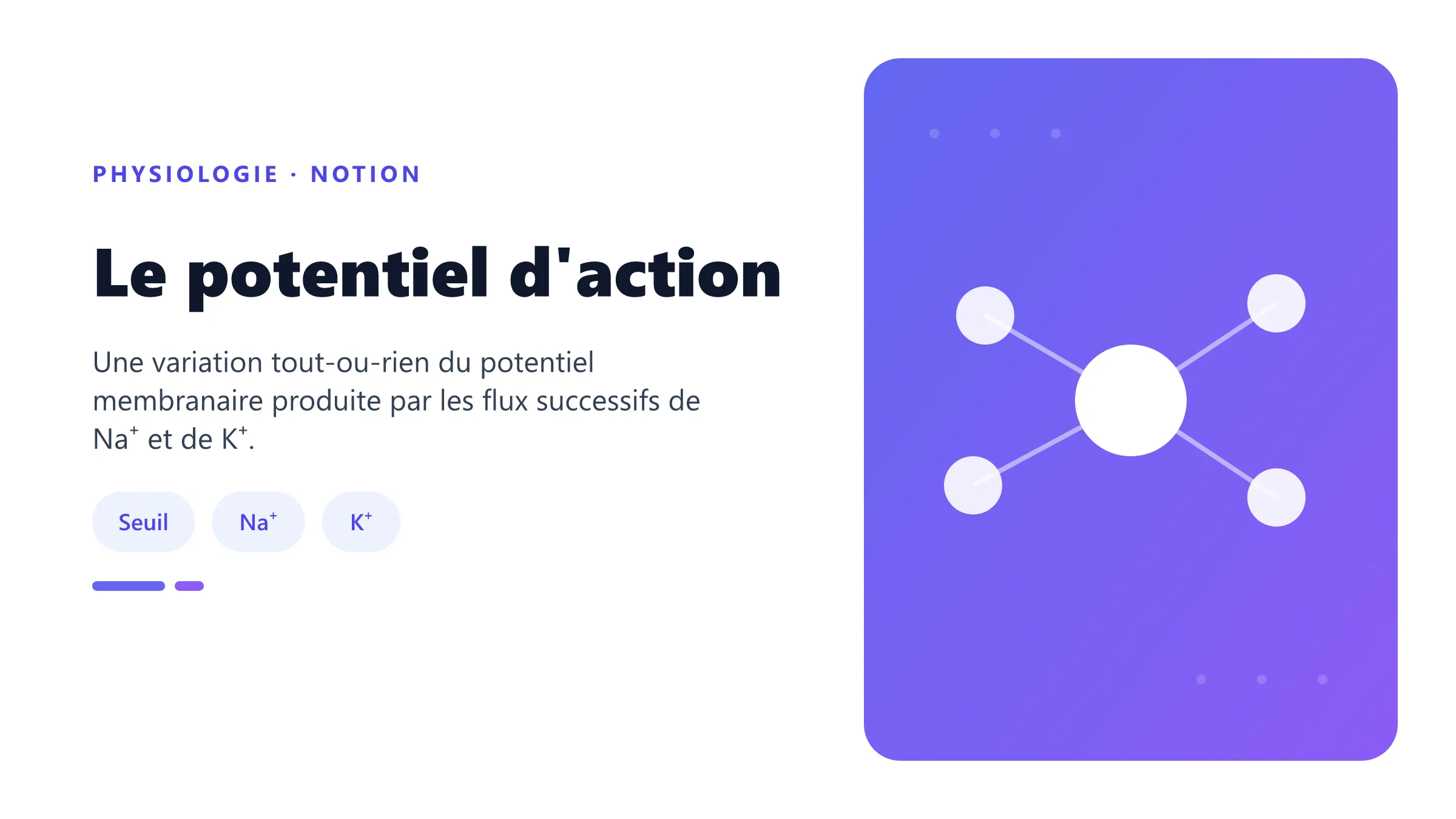 Courbe temporelle d'un potentiel d'action neuronal.