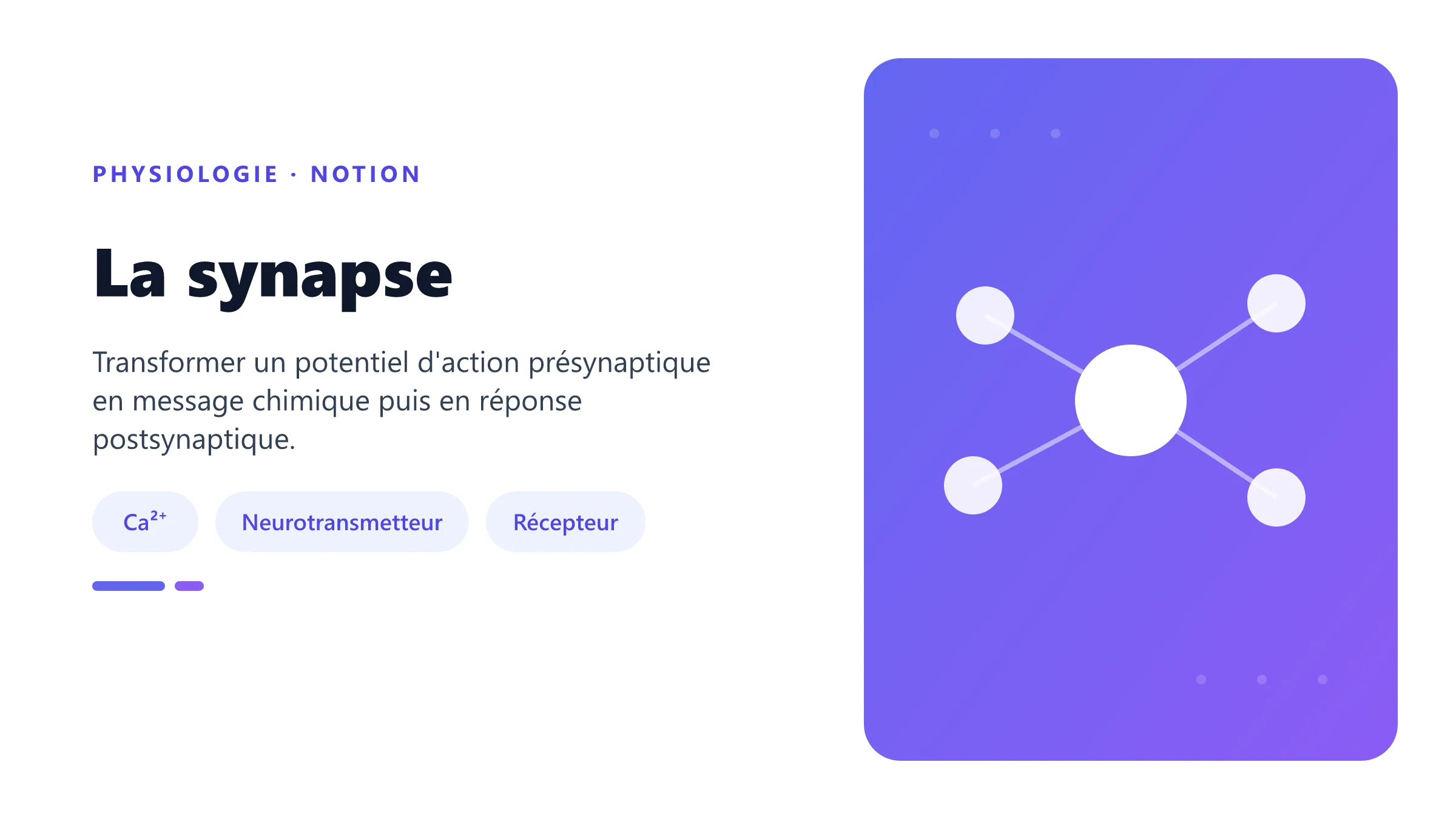 La synapse Mécanisme de transmission d'une synapse chimique.