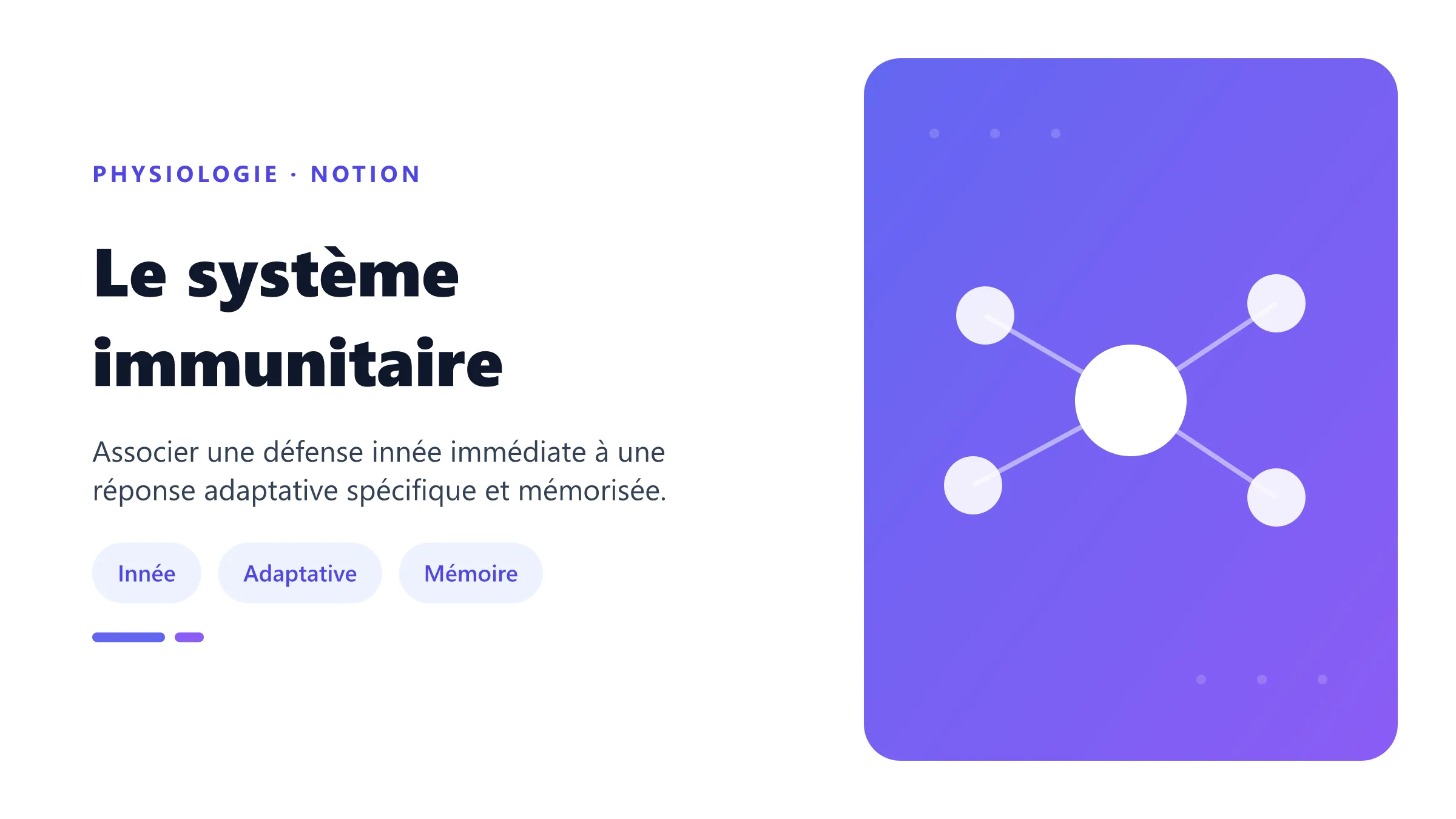Le système immunitaire Coopération entre immunité innée et immunité adaptative.