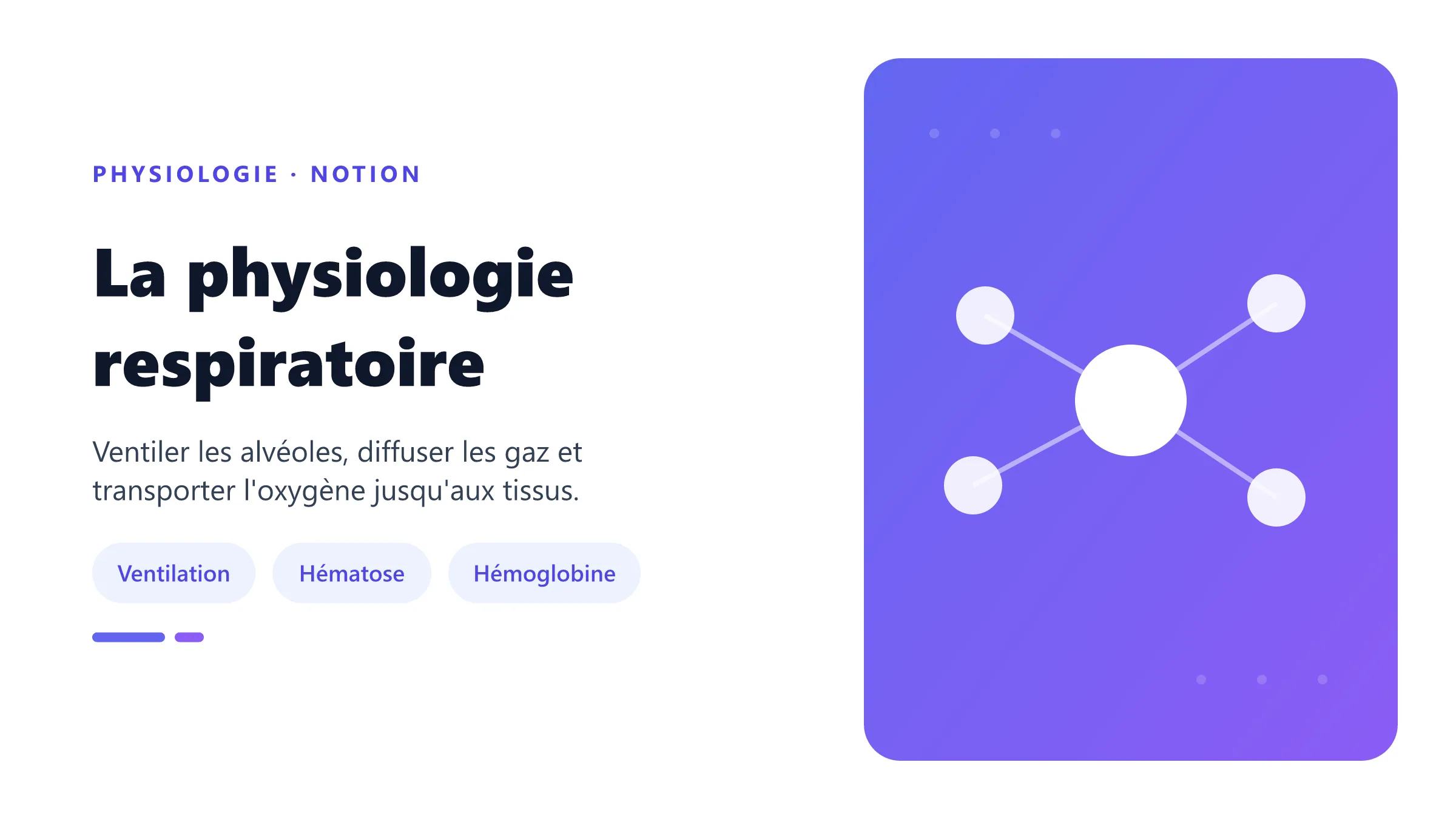 La physiologie respiratoire Ventilation alvéolaire et échanges gazeux pulmonaires.