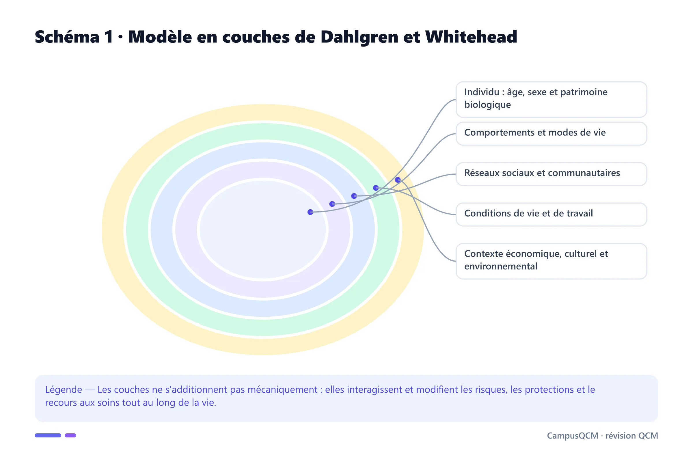 Modèle de Dahlgren et Whitehead en cinq couches, de l'individu au contexte socio-économique général.