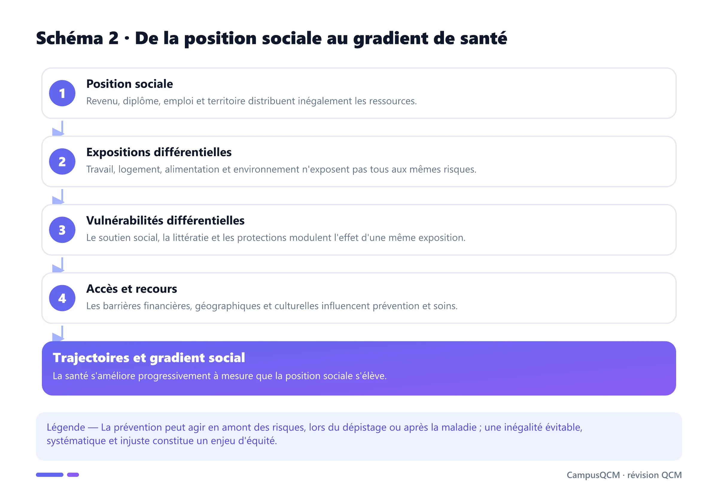 Chaîne causale reliant position sociale, expositions, vulnérabilités, accès aux soins et gradient social de santé.
