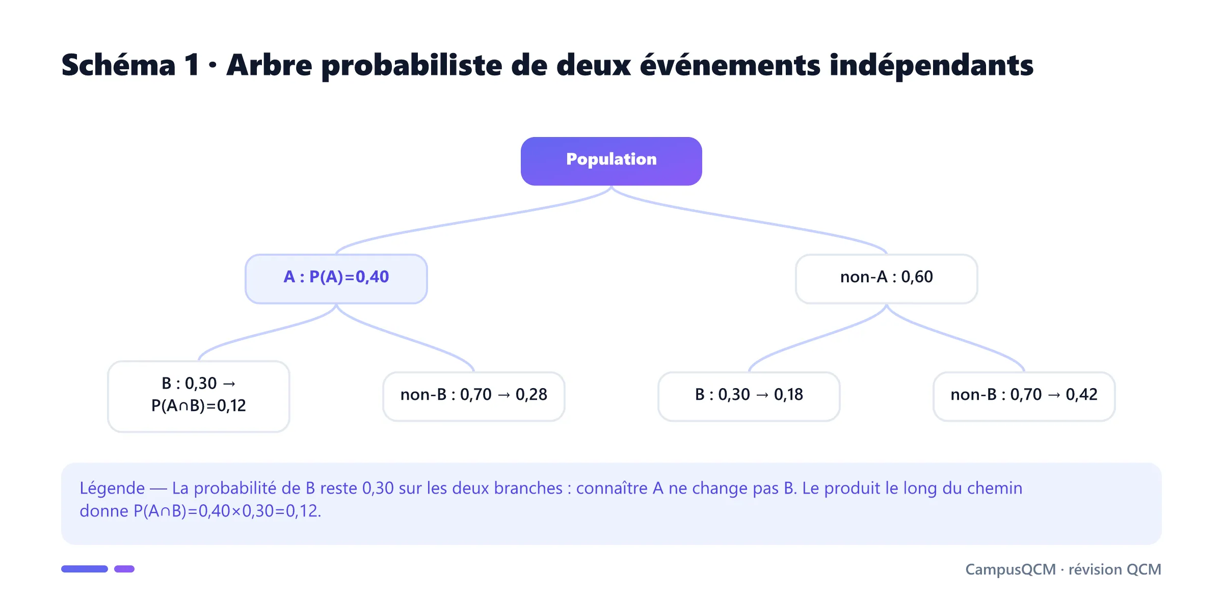 Arbre probabiliste où la probabilité de B reste égale à 0,30 conditionnellement à A ou à son complément.