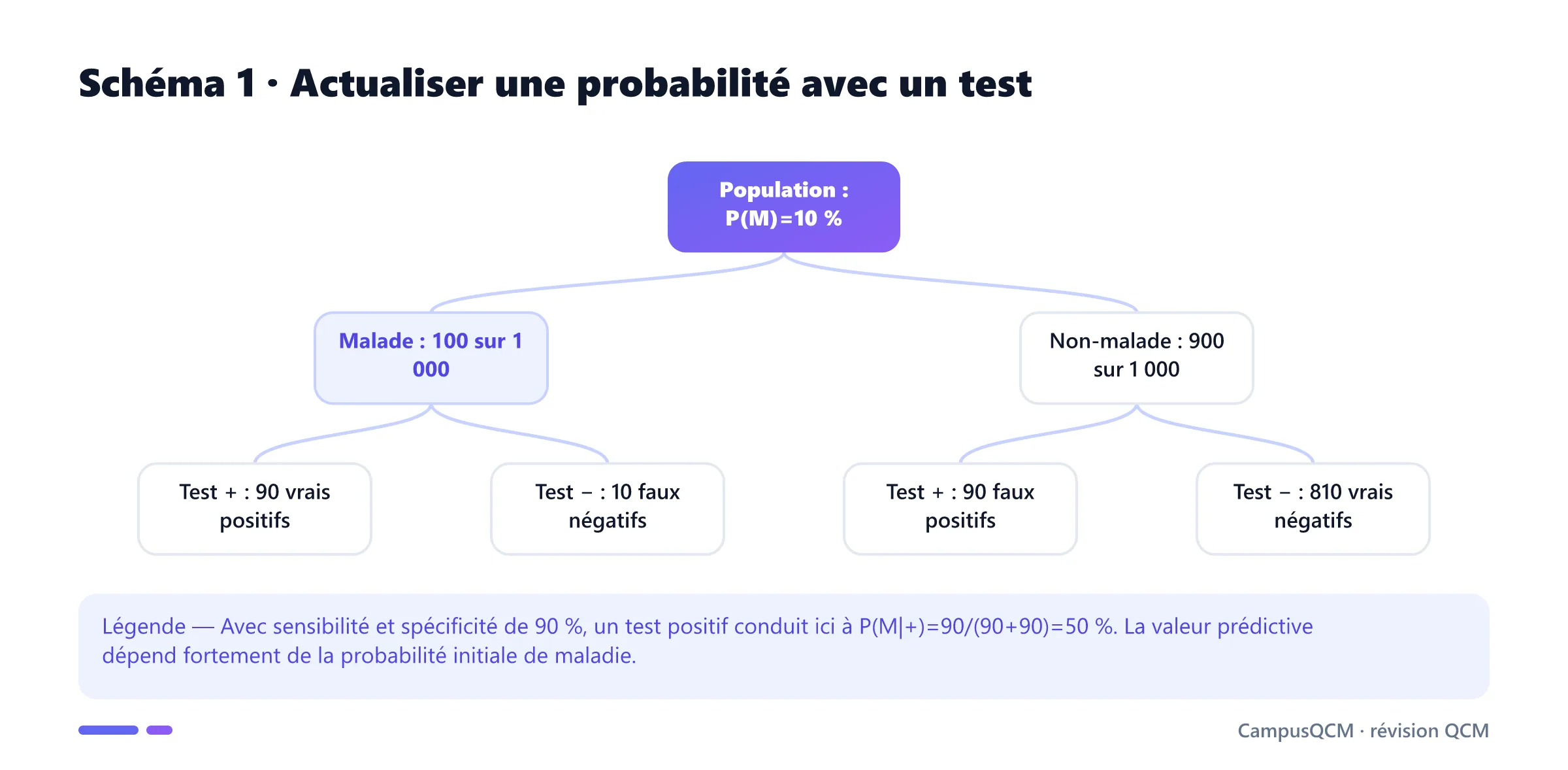 Arbre de Bayes sur mille personnes montrant qu'un test positif correspond à une probabilité postérieure de maladie de cinquante pour cent.