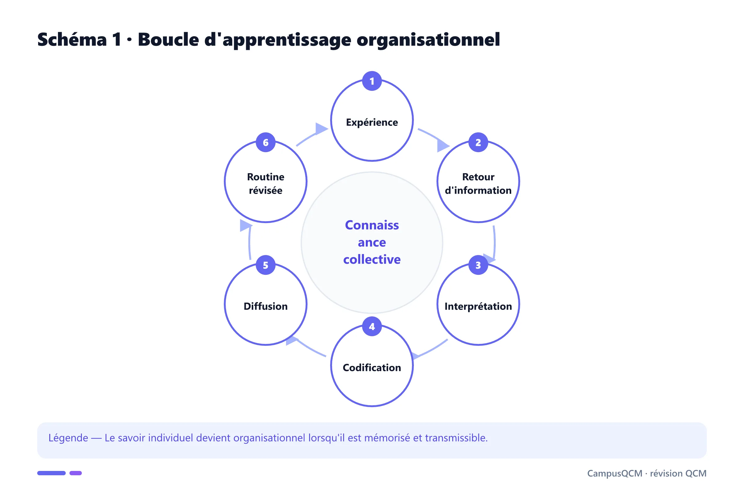 Cycle de transformation de l'expérience en routines organisationnelles.