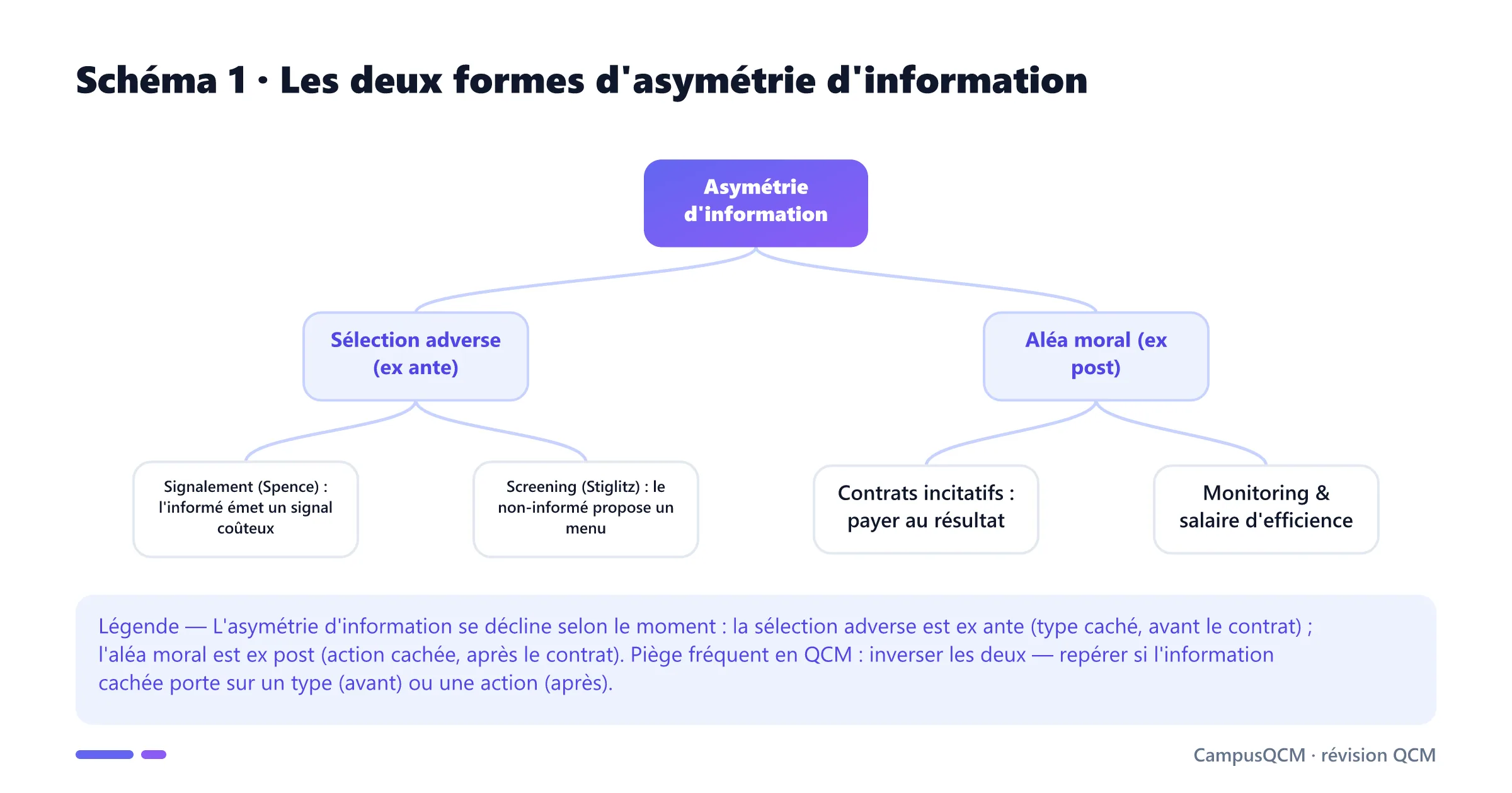 Arbre des deux formes d'asymétrie d'information : sélection adverse ex ante (signalement, screening) et aléa moral ex post (incitations, monitoring).