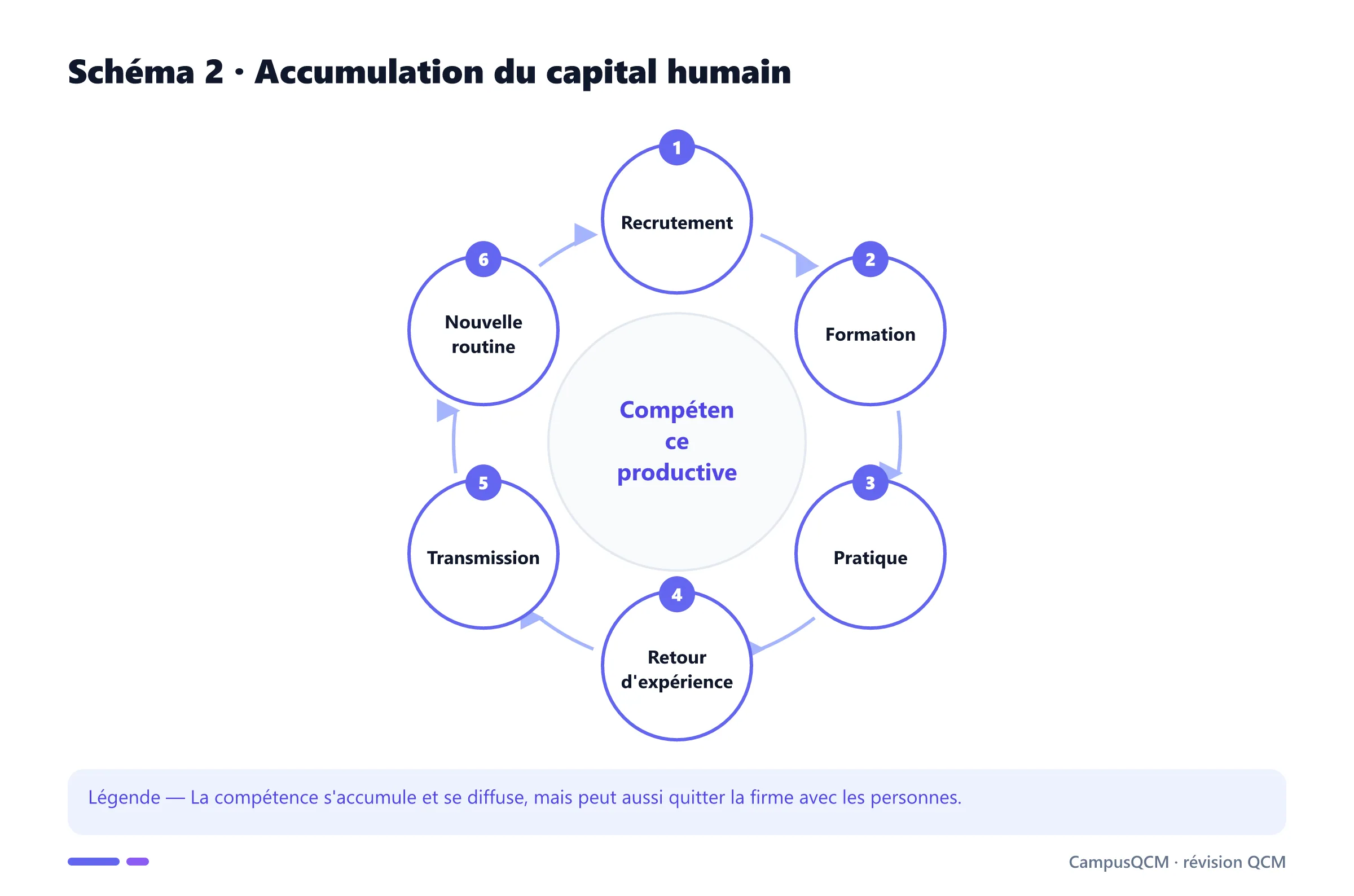 Cycle d'accumulation et de transmission du capital humain.