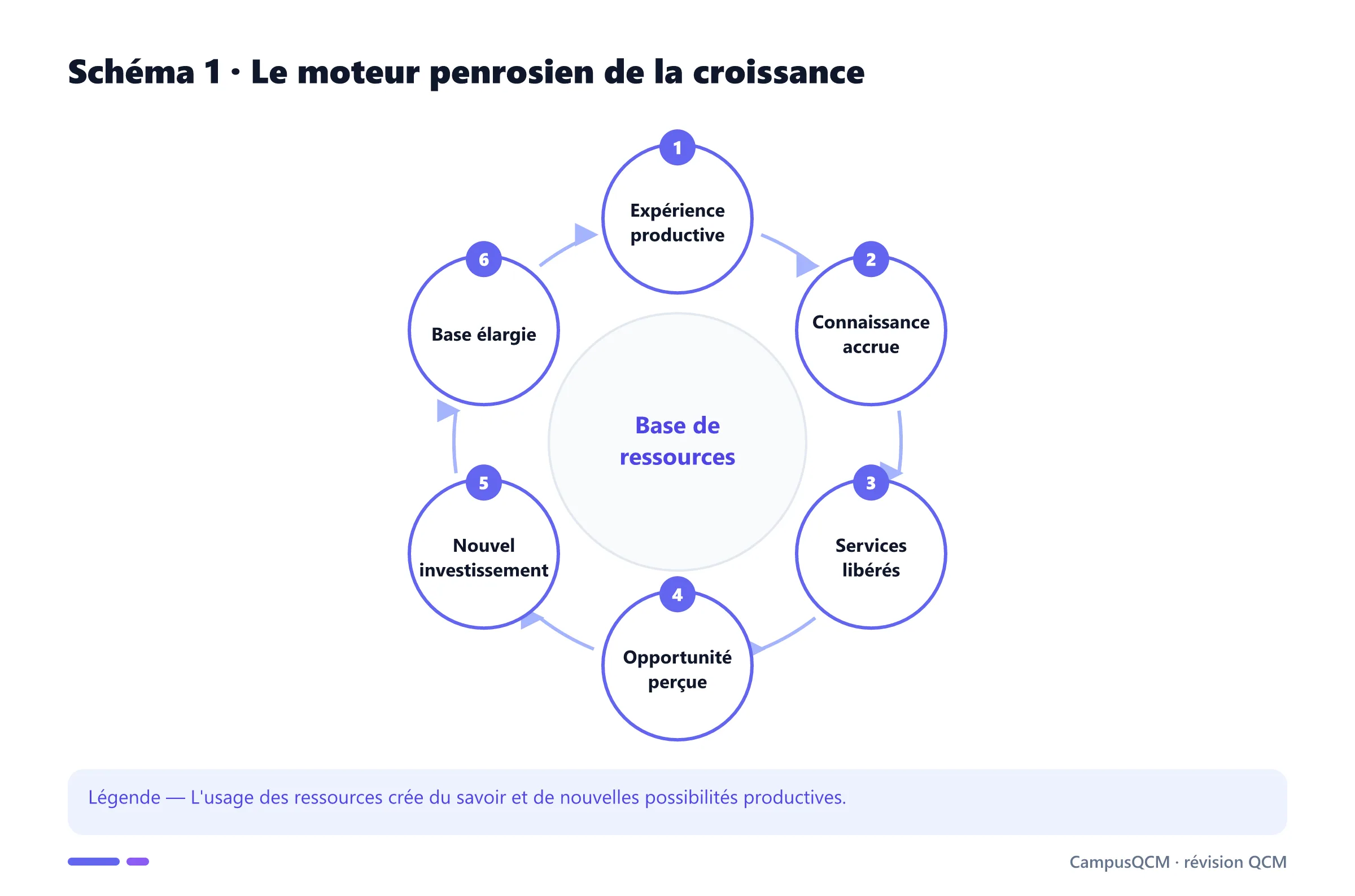 Cycle de croissance fondé sur les ressources chez Penrose.