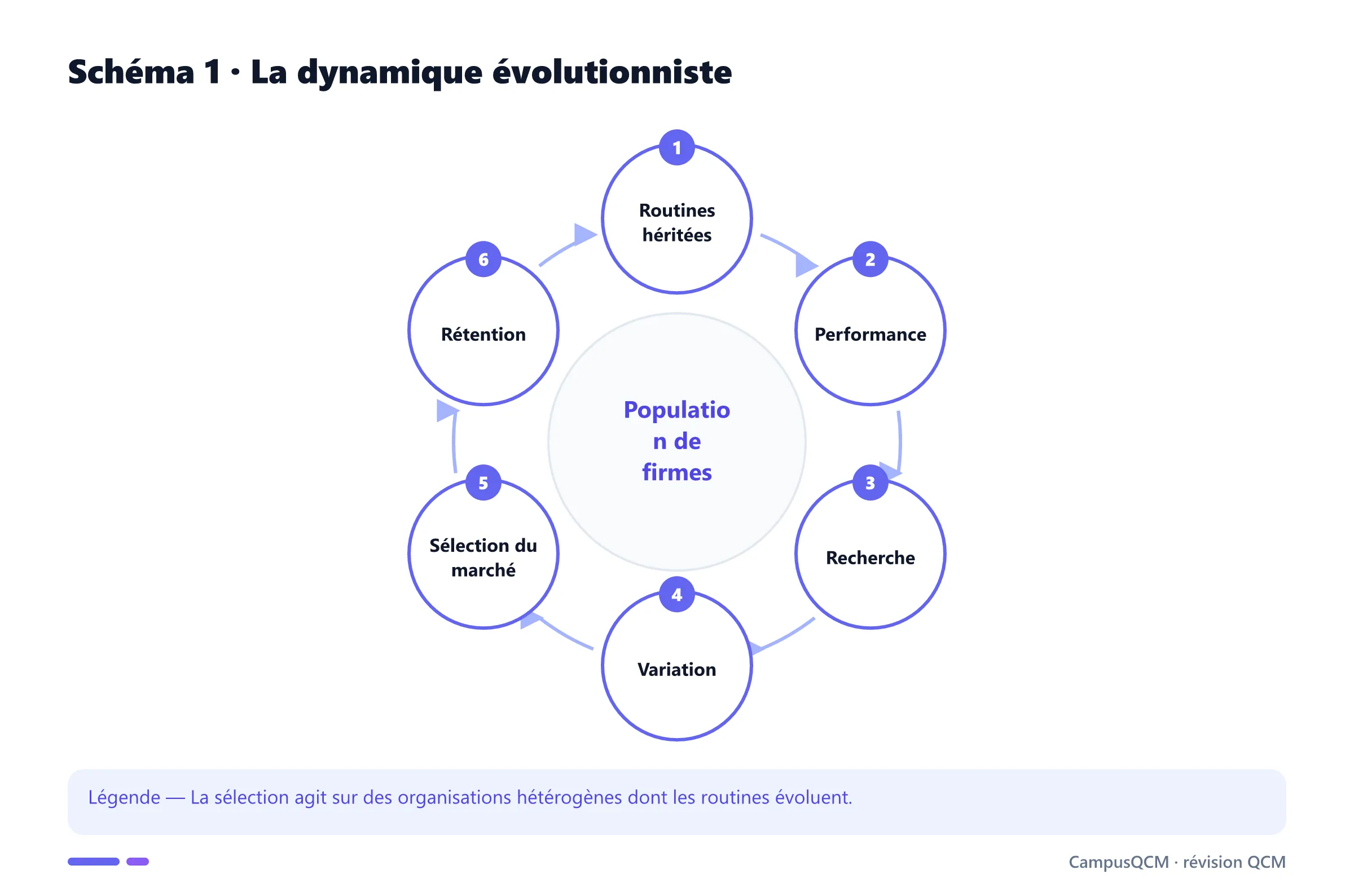 Cycle évolutionniste des routines, variations et sélection.