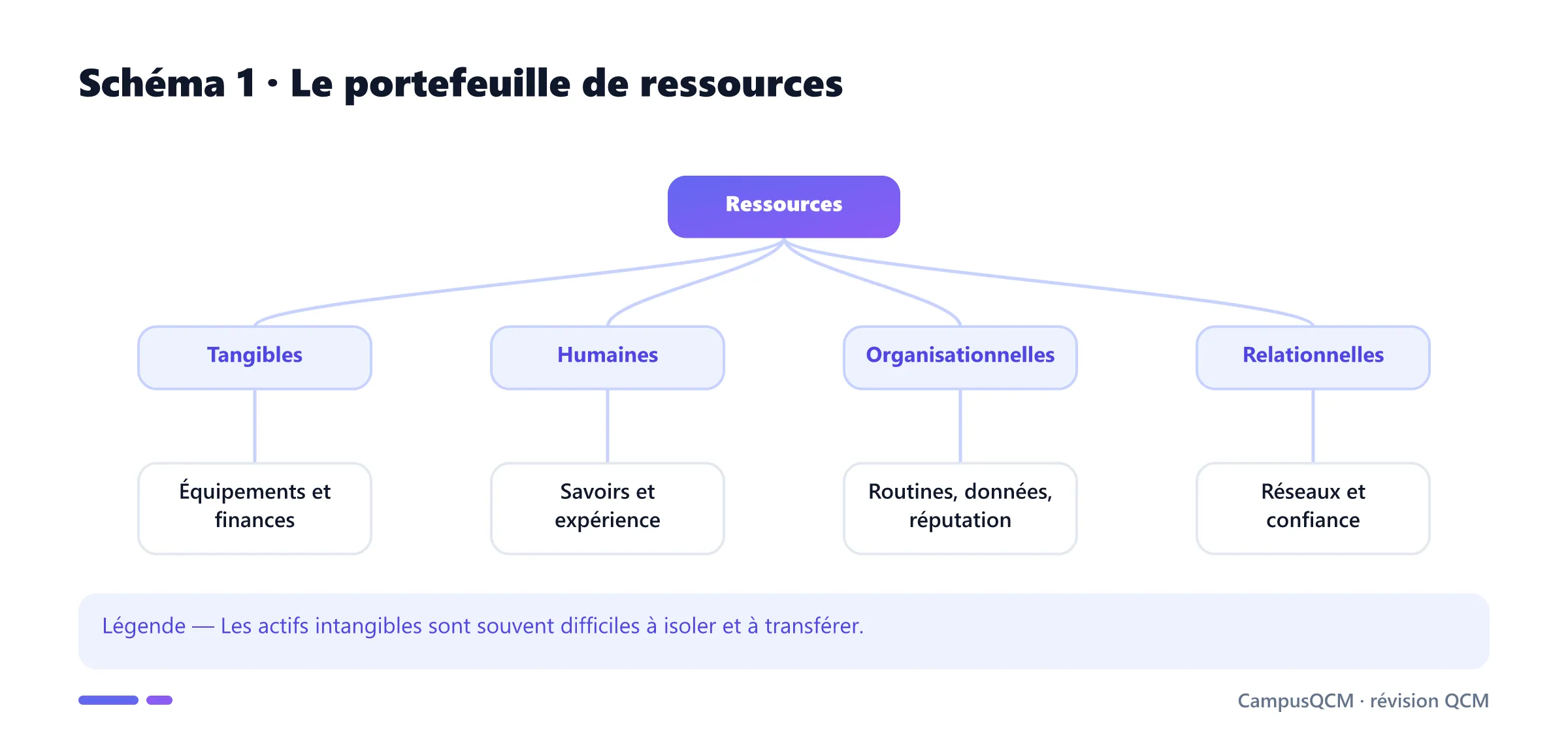 Arbre des ressources tangibles, humaines, organisationnelles et relationnelles.