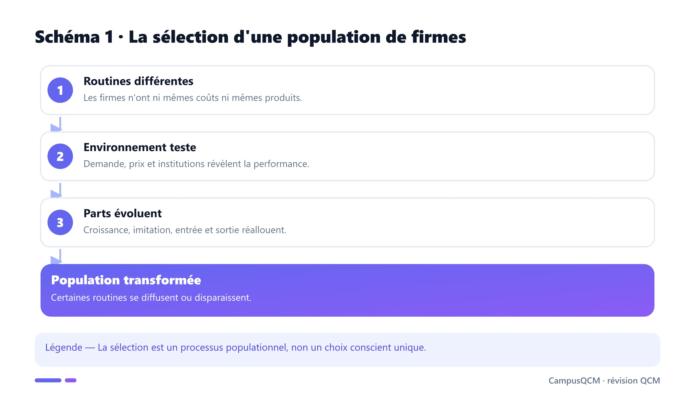 Étapes de sélection évolutionniste entre firmes.