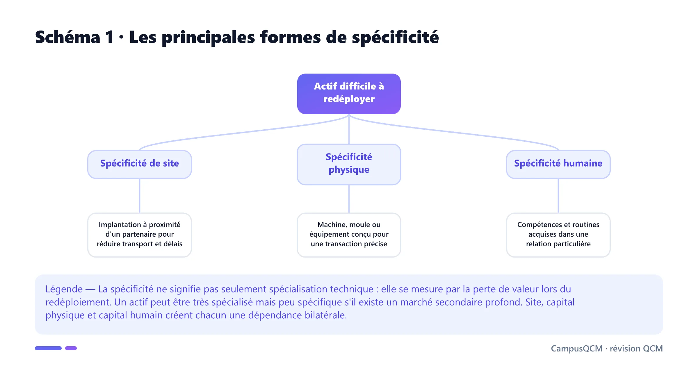 Arbre des formes de spécificité des actifs : site, actif physique et capital humain, chacune illustrée par un exemple de redéploiement difficile.