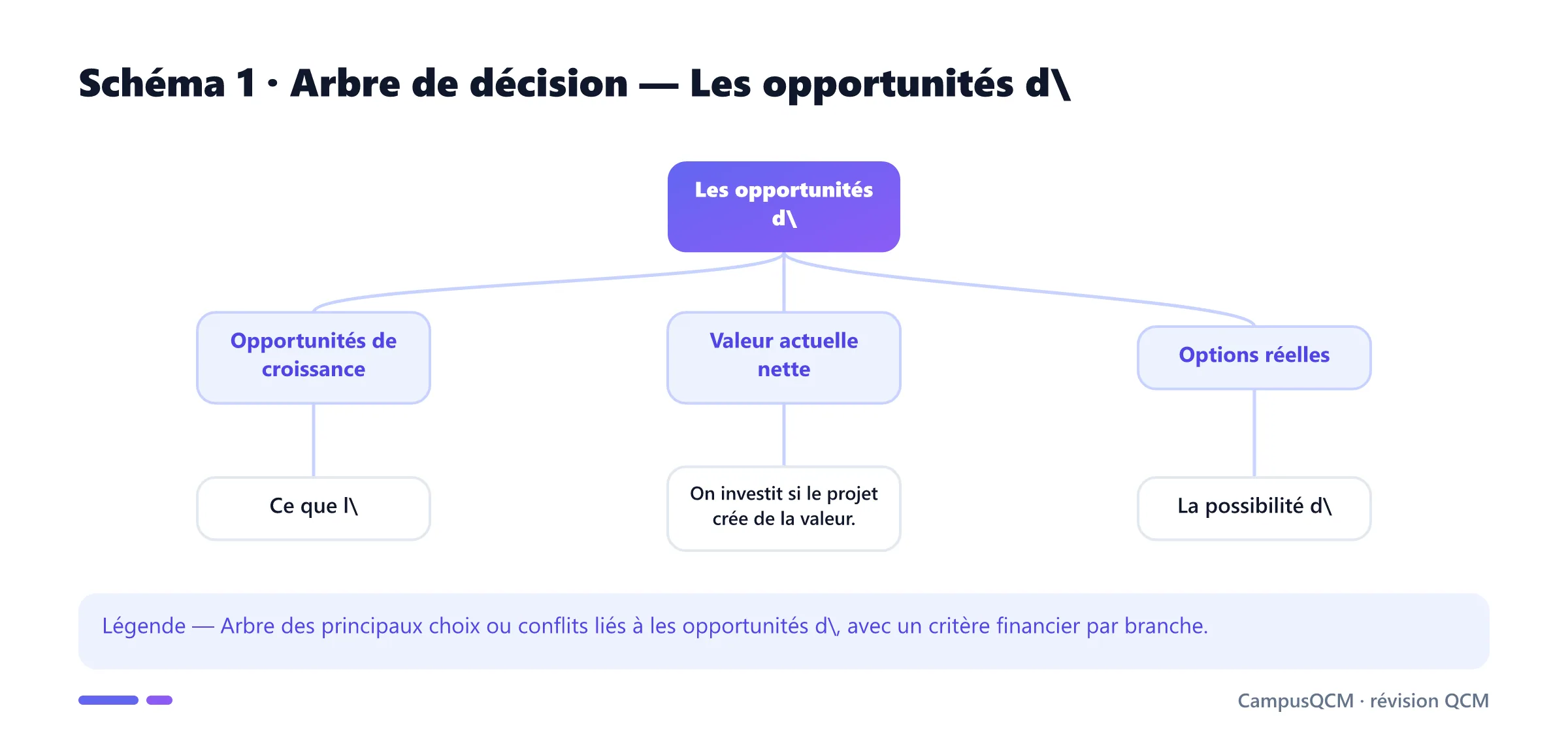 Carte conceptuelle de opportunités d'investissement présentant Opportunités de croissance, Valeur actuelle nette, Options réelles, Actifs en place.