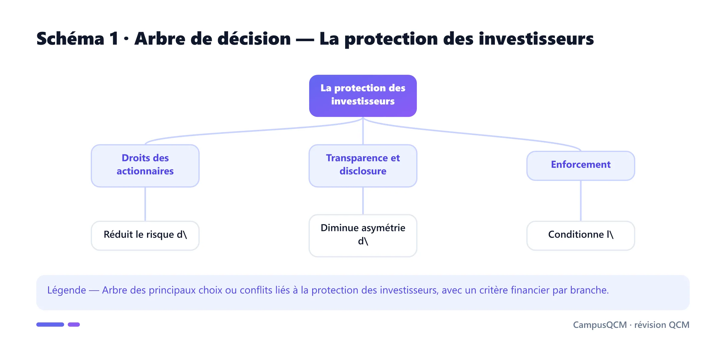 Carte conceptuelle de protection des investisseurs présentant Droits des actionnaires, Transparence et disclosure, Enforcement.